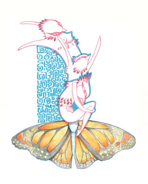 Butterfly life