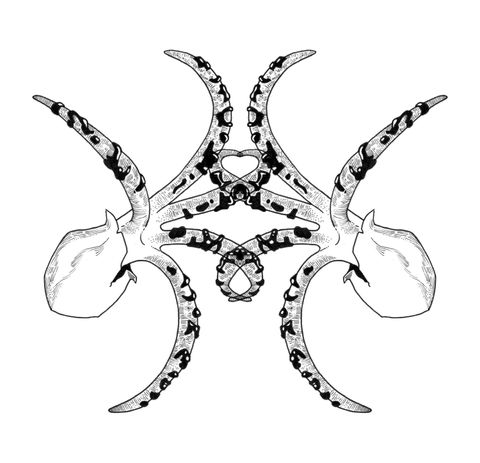 Octofungi